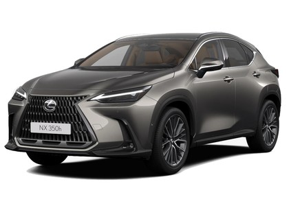 Ворсовые коврики на Lexus NX II 2021 - 2025 в Йошкар-Оле
