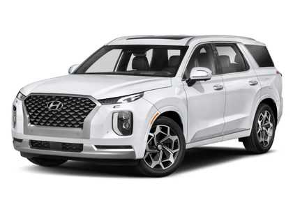 Коврики на Hyundai Palisade 2018 - 2025 в Йошкар-Оле
