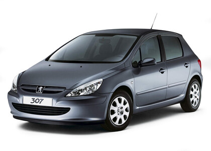 Ворсовые коврики на Peugeot 307 2001 - 2008 в Йошкар-Оле