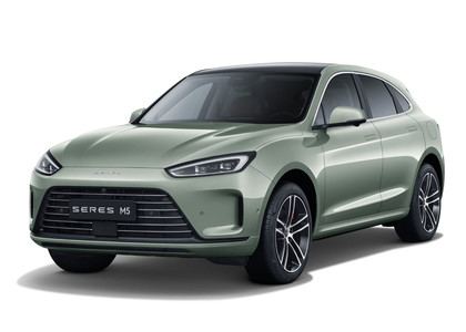 Коврики на Seres M5 2021 - 2025 в Йошкар-Оле