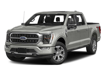 Ворсовые коврики на Ford F150 2020 - 2025 в Йошкар-Оле