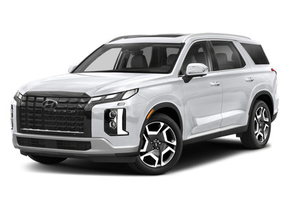 Коврики на Hyundai Palisade 2018 - 2025 в Йошкар-Оле