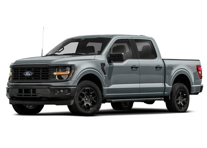 Ворсовые коврики на Ford F150 2020 - 2025 в Йошкар-Оле