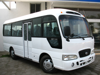 Ворсовые коврики на Hyundai County 2006 - 2016 в Йошкар-Оле