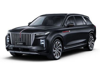 Ворсовые коврики на Hongqi E-HS9 2022 - 2025 в Йошкар-Оле