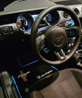 Ворсовые коврики на Ford Mustang VI 2013&nbsp;-&nbsp;2023 в Йошкар-Оле