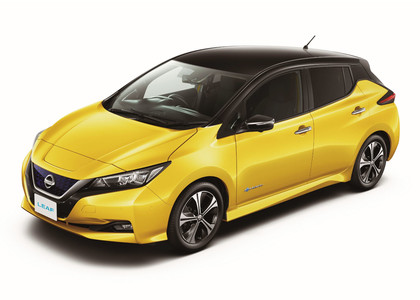 Ворсовые коврики на Nissan Leaf (ZE1) 2017 - 2025 в Йошкар-Оле
