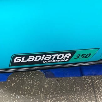 Ворсовые коврики на Лодки Gladiator E350S  в Йошкар-Оле