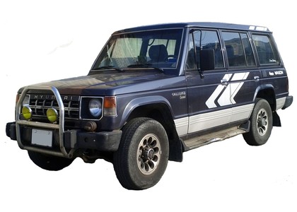 Ворсовые коврики на Hyundai Galloper I 1991 - 1997 в Йошкар-Оле