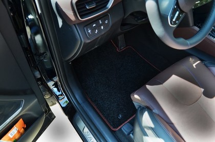 Ворсовые коврики на Hyundai Santa Fe IV 2018 - 2021 в Йошкар-Оле